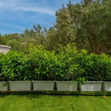 Lejlighed Rgsuite 2 Golfo Aranci